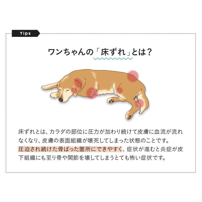 床ずれ