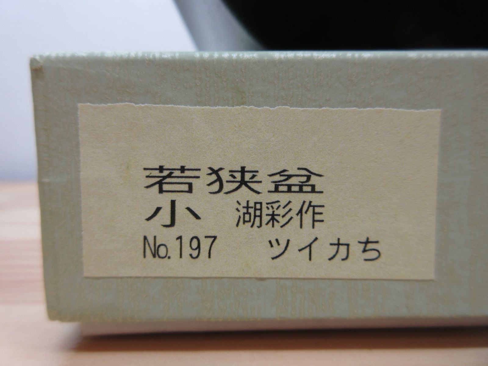 中村湖彩