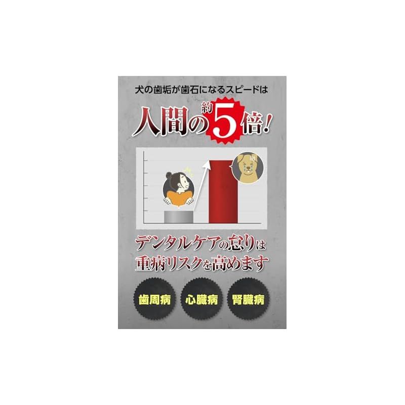 CLEAN WAN クリーンワン 犬 歯磨き ジェル 歯石取り 歯石除去