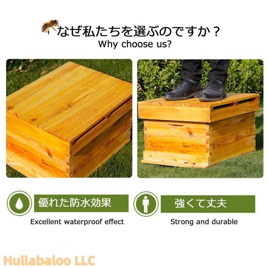 セット蜜蜂巣箱7|