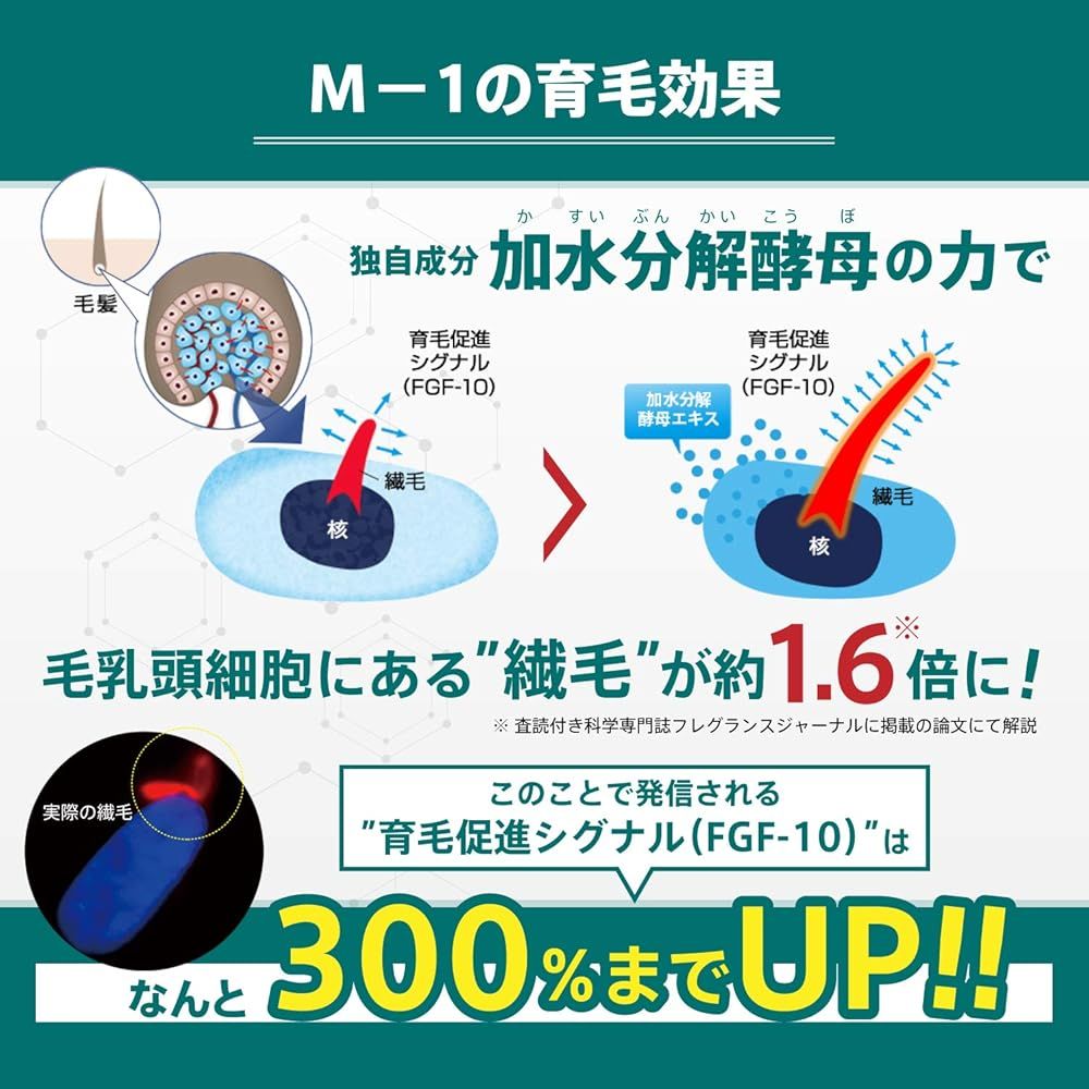 ml 2本
