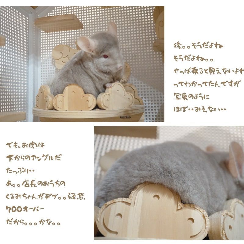 チンチラ 木製