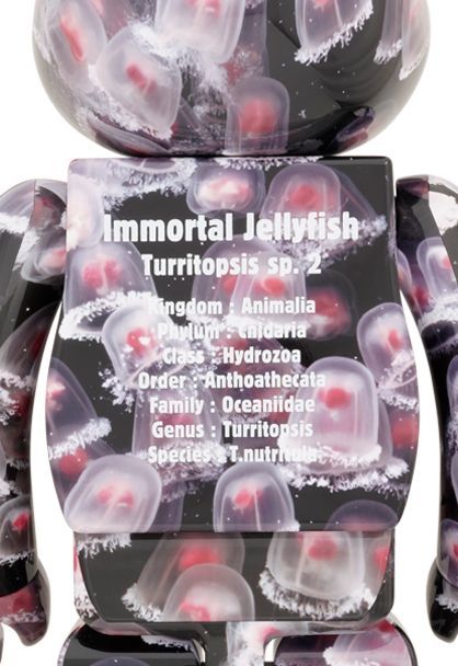 MEDICOM TOY - BE@RBRICK JELLYFISH「ベニクラゲ」1000％ MEDICOM TOY｜メディコムトイ EXHIBITION '22 開催記念商品 BE
