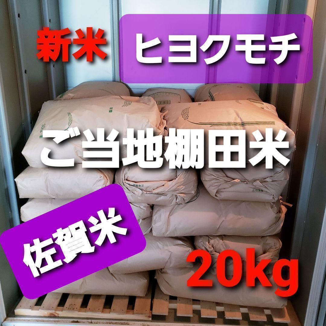 令和5年産棚田で育った特Aさがびより20キロ - 米