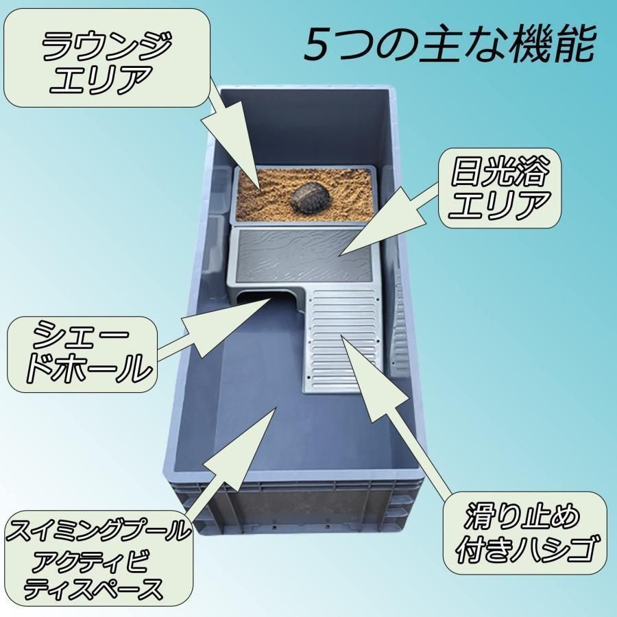 カメ槽