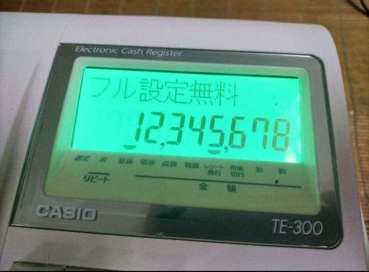 カシオレジスターTE-300 設定無料 送料無料人気機種913338