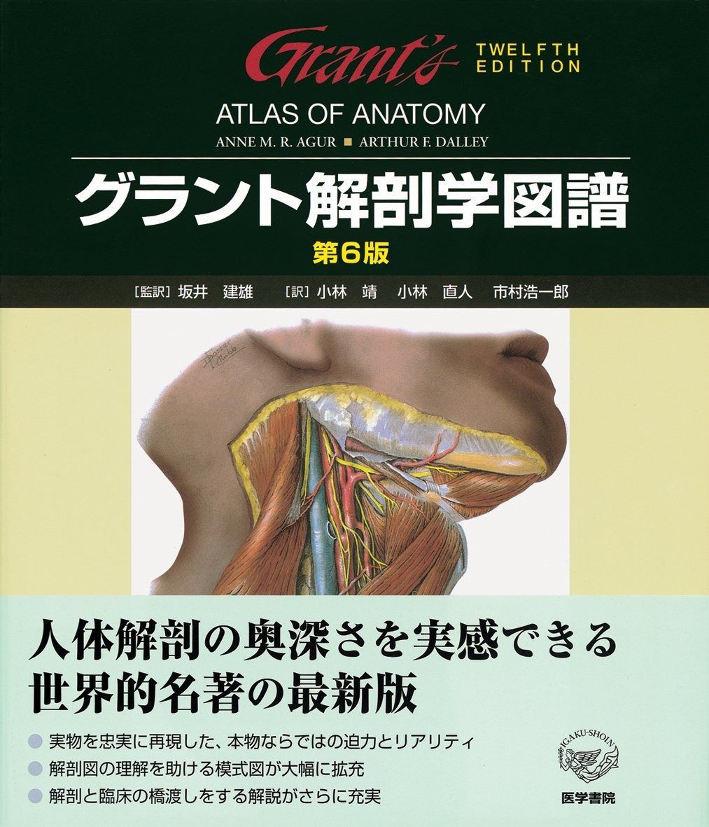 楽一番公式アカウント04様 極希少）NARUTO 公式 ナルト 忍術大全2 カード