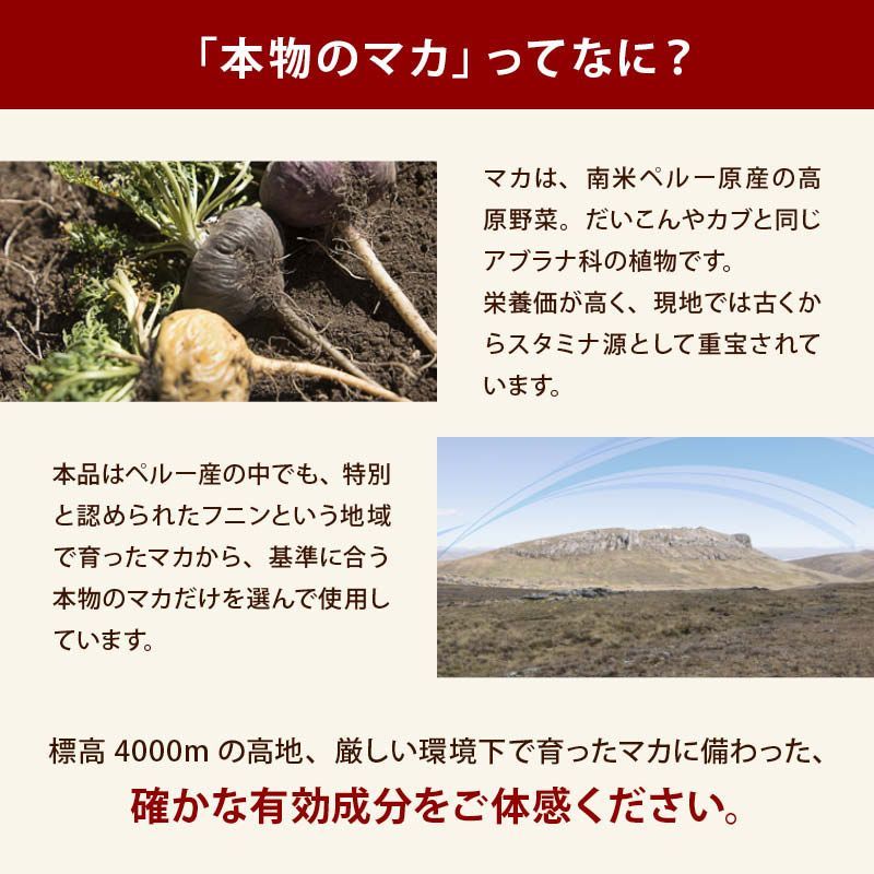 マカ 約30日分