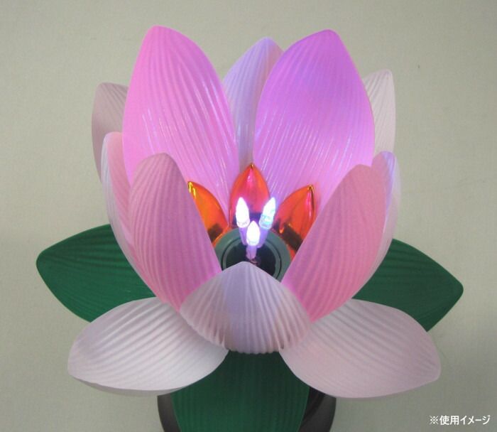 常花蓮華コードレス 2個組 YMG665188