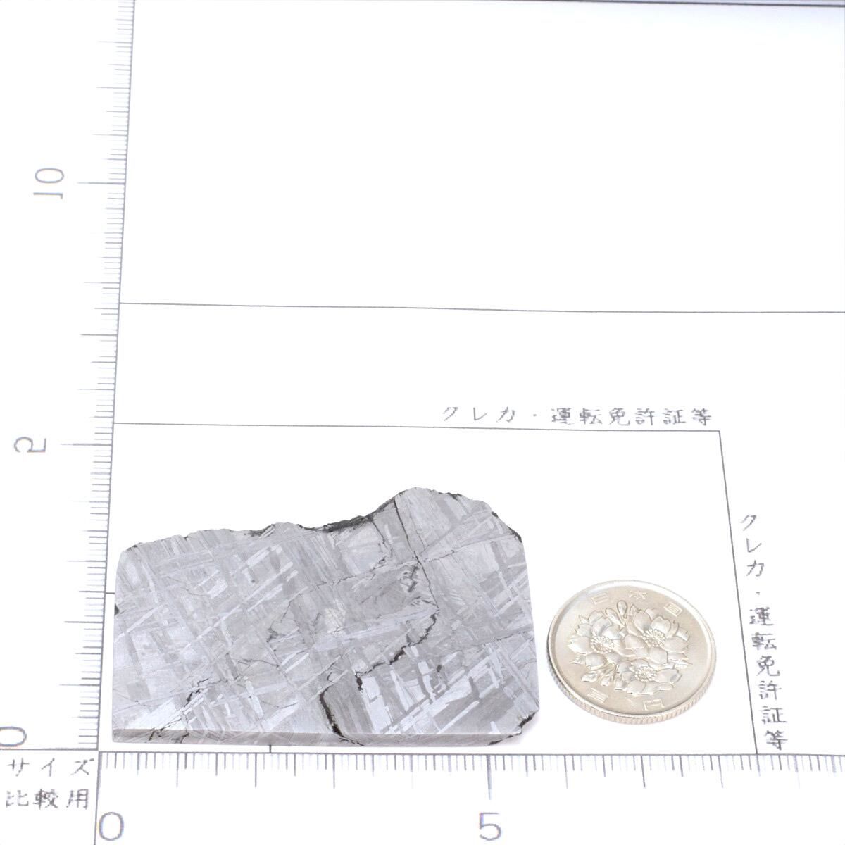 ムオニオナルスタ隕石 標本 Muonionalusta(ムオニオナルスタ) 鉄隕石 I660(大型) 844g