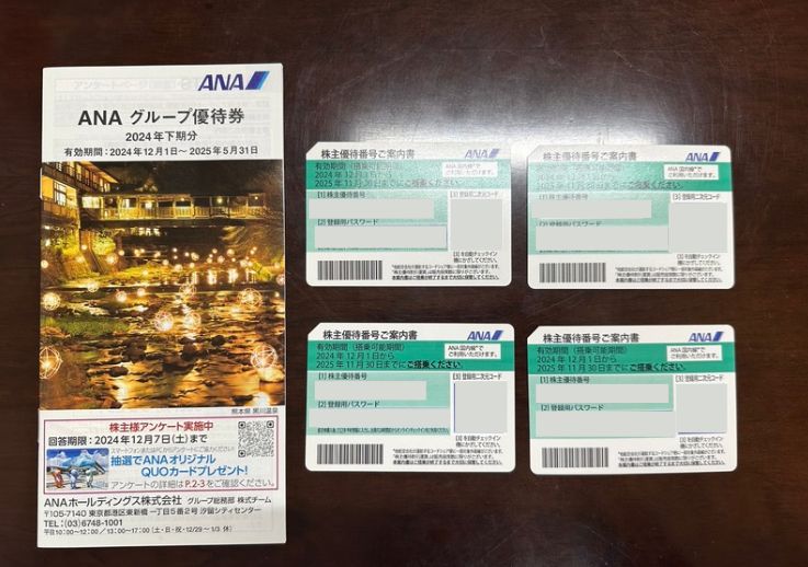 ANA 株主優待券 グループ優待券付き 乗車券 旅行 チケット 割引券 航空券 優待券
