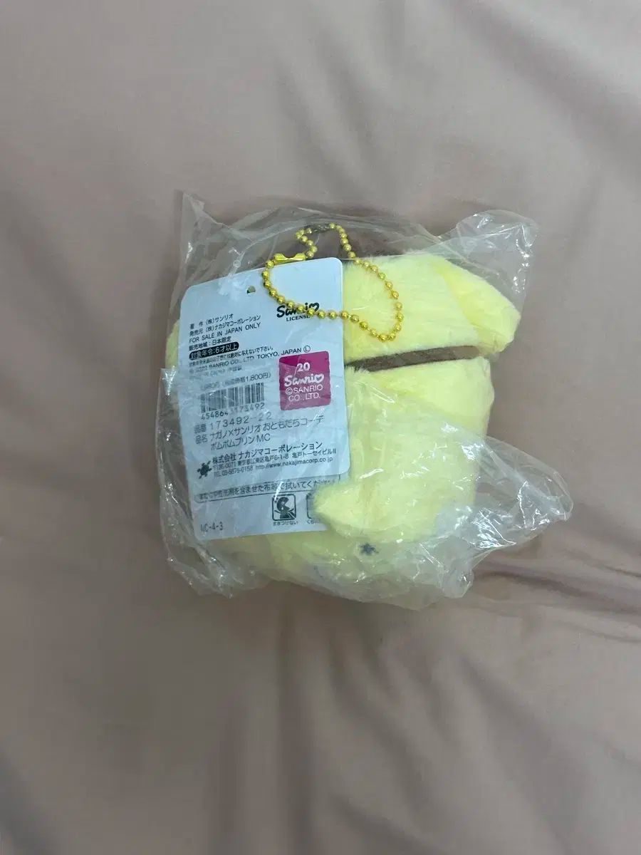 長野 ポムポムプリン