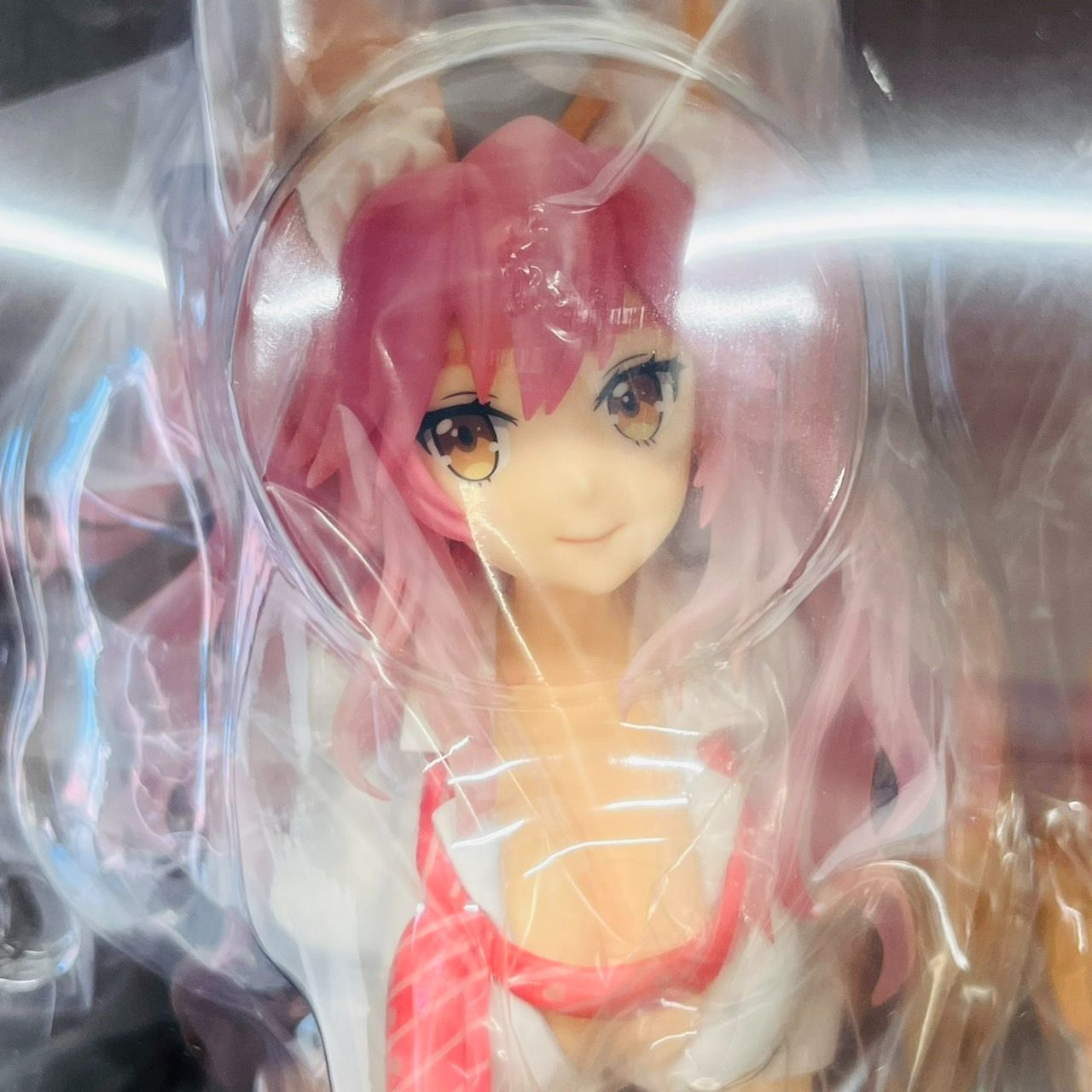 Fate EXTELLA 玉藻の前 衝撃の学生服 Ver. 1/6 スケール フィギュア