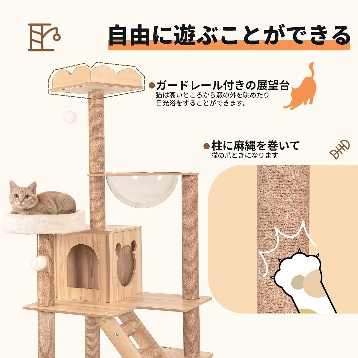 爪とぎ 見晴台