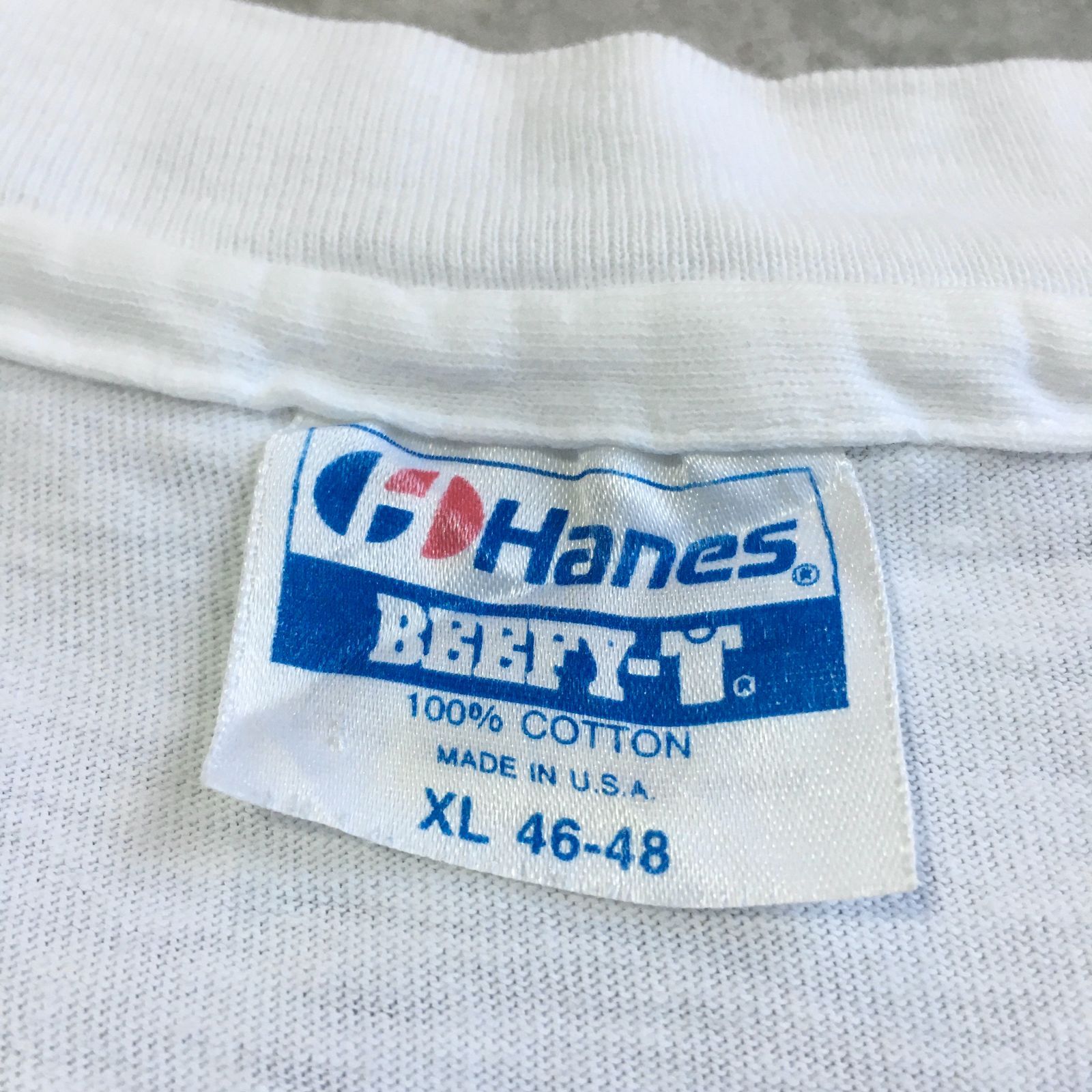 90s USA製 Hanes L.L.Bean Pastel scenery Printed T-shirt