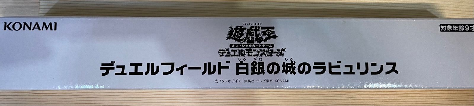 46】遊戯王 デュエルフィールド 白銀の城のラビュリンス