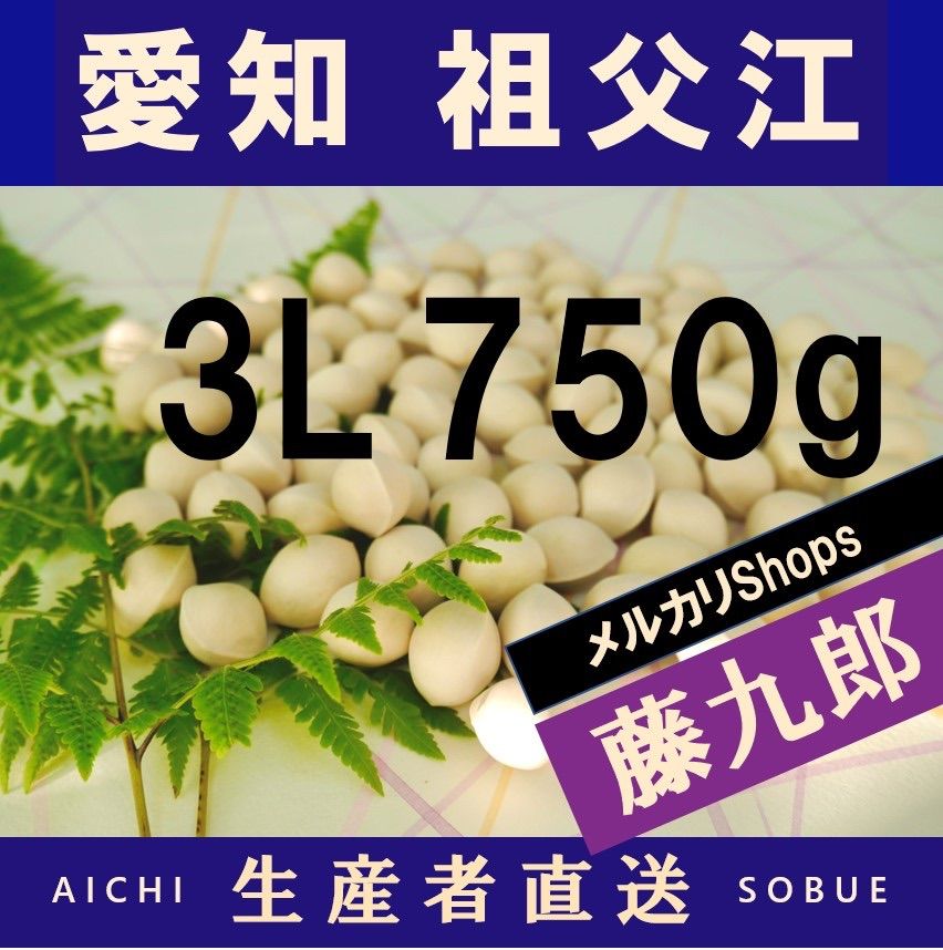 2022年新物　生産者直送 久寿 ぎんなん 祖父江産 銀杏 3L 3kg 2024年新物 藤九郎 銀杏 生産者直送 祖父江産 ぎんなん 3L 750g