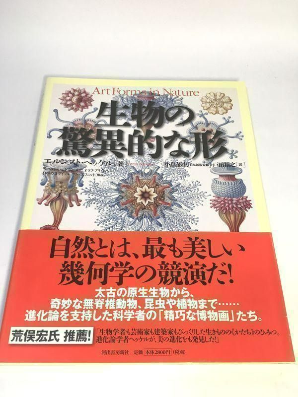 訳あり未使用品 生物の驚異的な形 - 陽だまりの店 - メルカリ