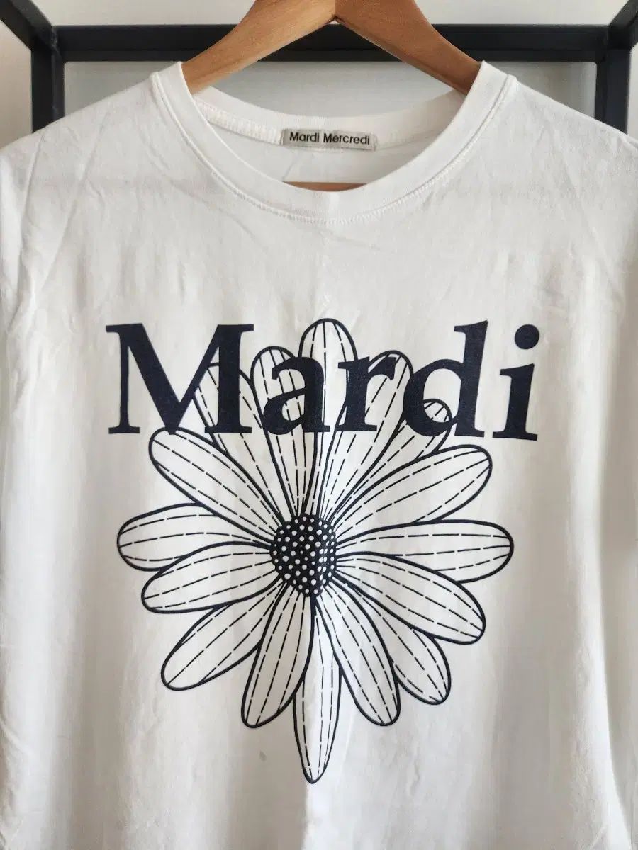 Mardi |マルディ