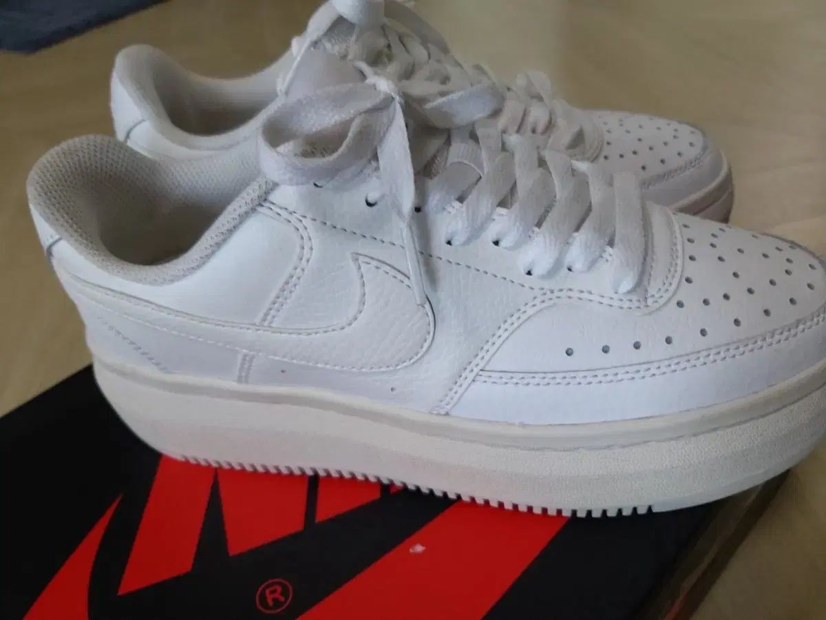 ナイキ コート ビジョン ロー 白 240