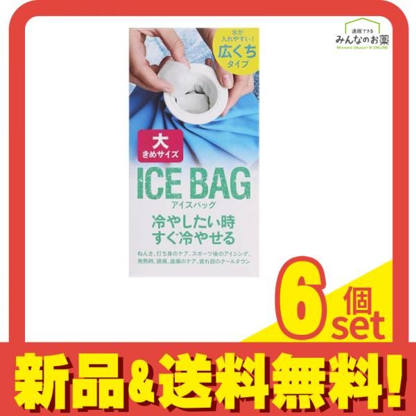 アイスバッグ大 1個入 6個セット