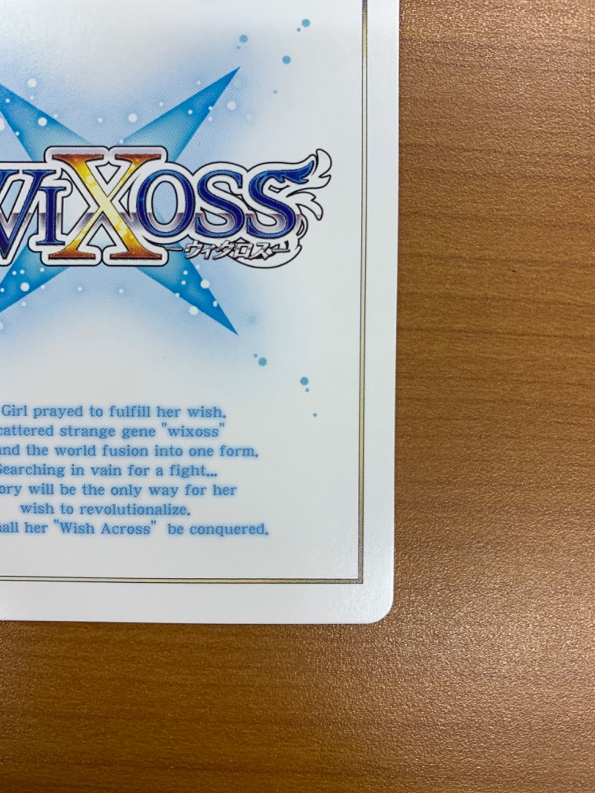 小鳥遊ホシノ 水着