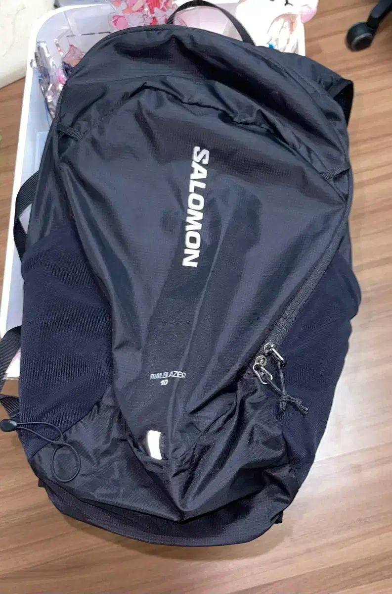 Salomon サロモン トレイルブレイザー 10 バックパック