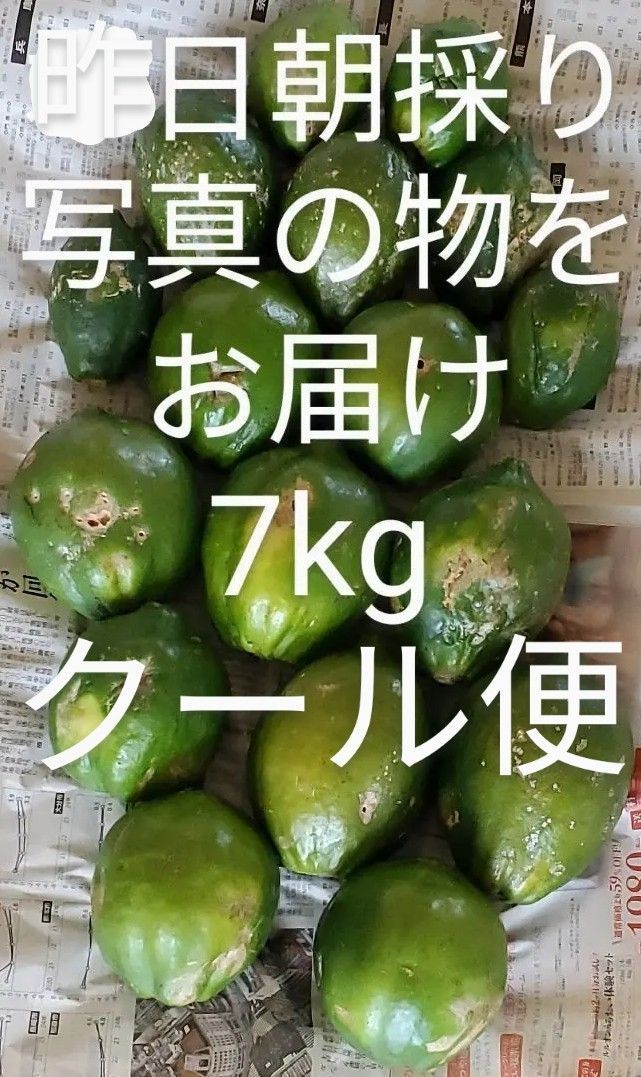 青パパイヤ 7kg greenpapaya 健康野菜 スーパーフード 訳あり 青パパイヤ 7kg greenpapaya 健康野菜 スーパーフード