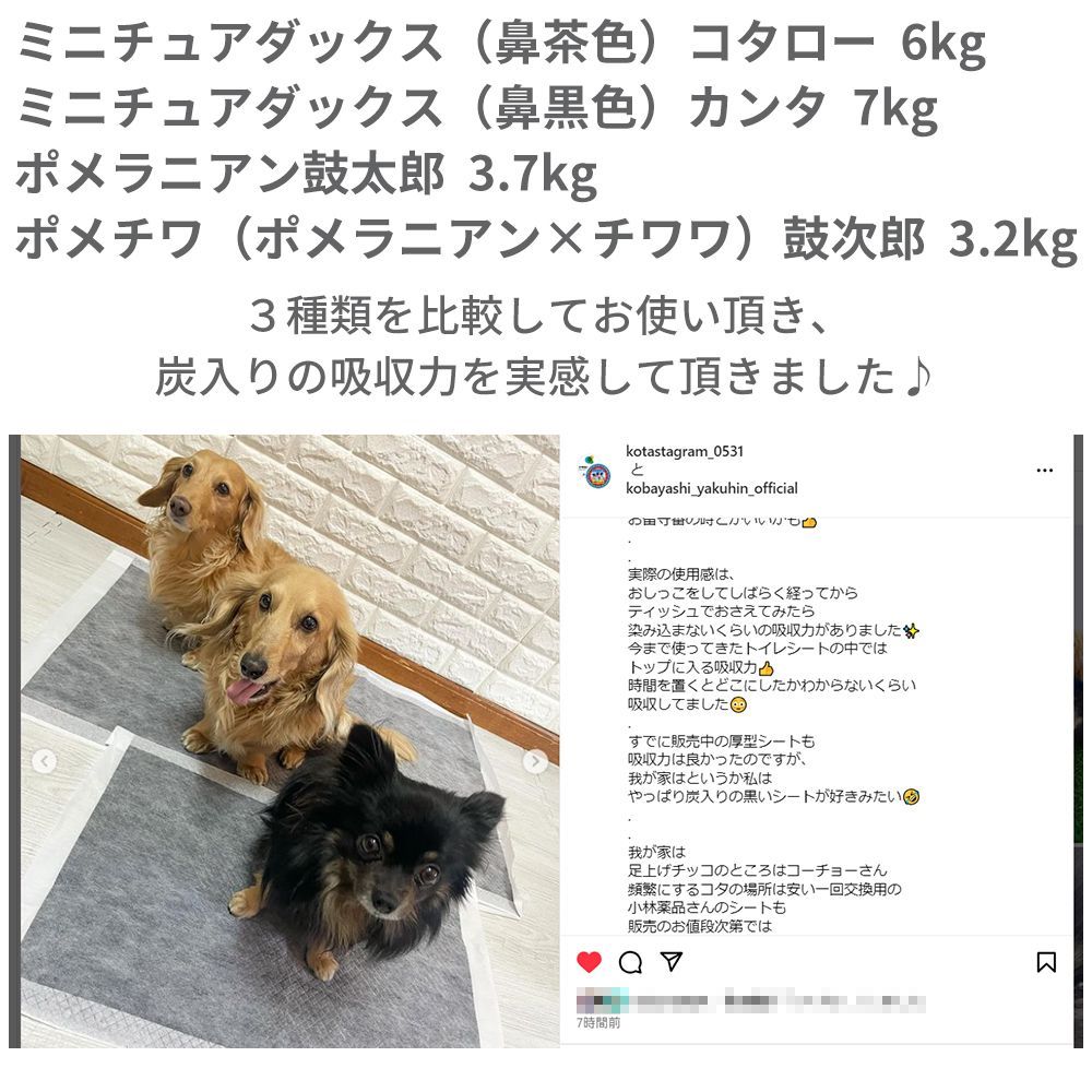 消臭ペットシーツ 炭入りペットシーツ