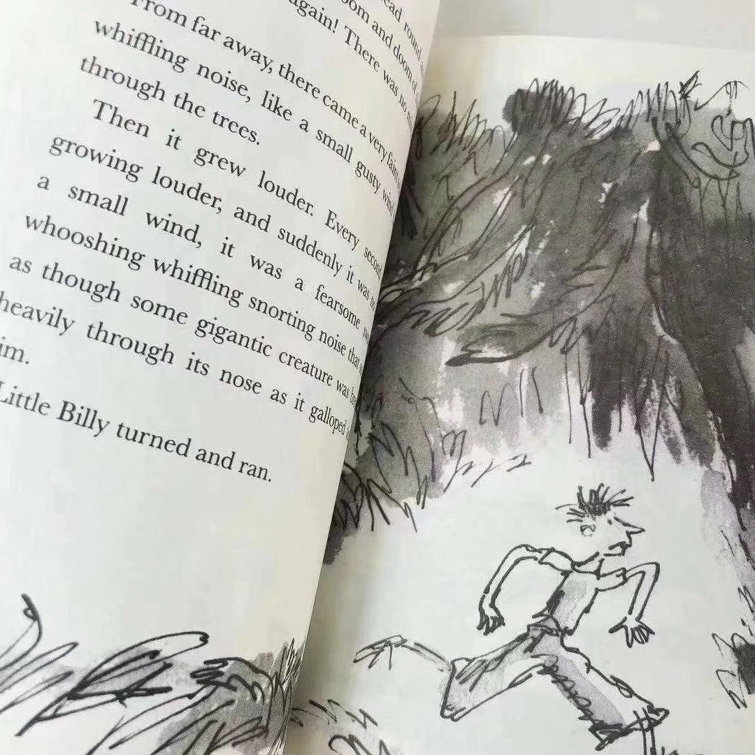 Roald DAHL collection 20冊 洋書 洋書
