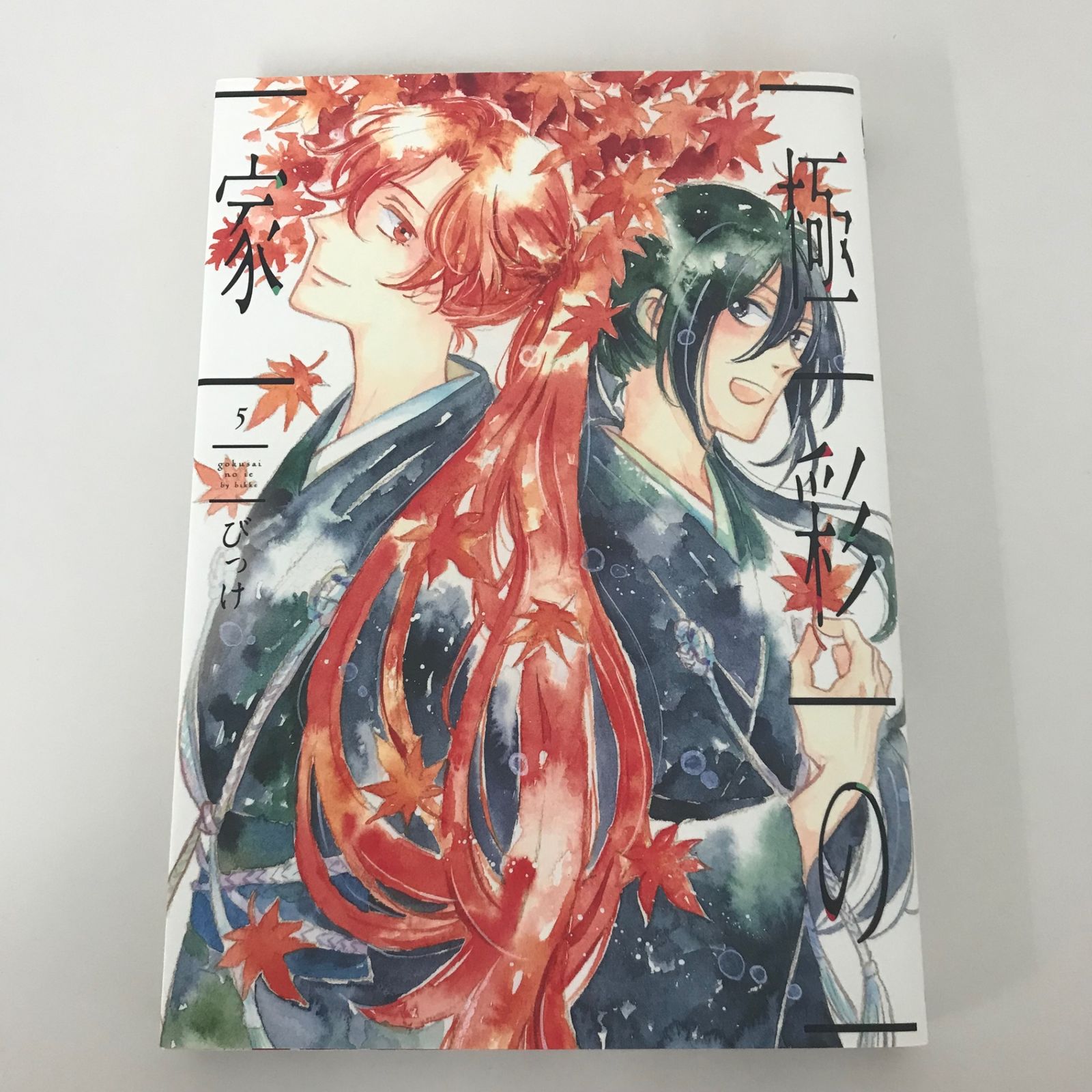 初版】 極彩の家 5巻/びっけ/GF-0225022908-YP/GF09771 - メルカリ