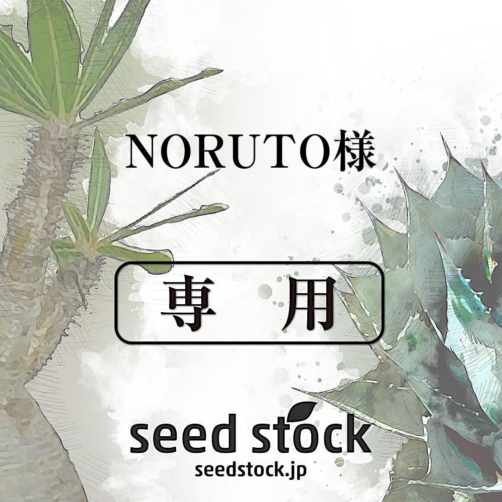 NORUTO様専用 - seed stock - メルカリ