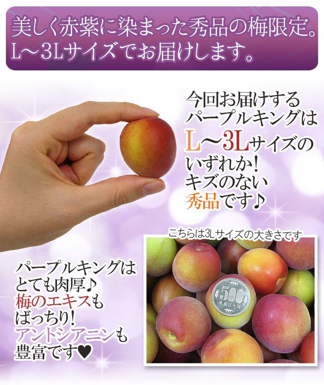 和歌山産 JA紀南 パープルキング” 秀品 L〜3L 約1kg 大梅 南高梅
