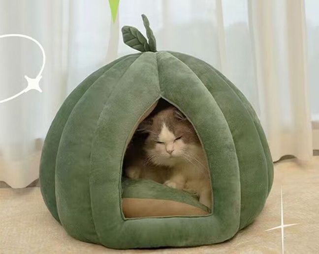 ドッグハウス かわいい