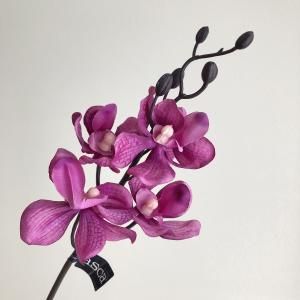 ちゃげ様 新品・3営業日で発送】ASCA アスカ Aー32866 オーキッドピック#045