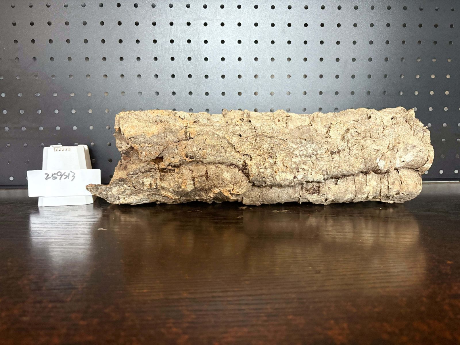 259S13 ポルトガル産 キャノンコルク コルク樹皮 コルク板 バージンコルク チランジア ビカクシダ 着生ラン 両生類 爬虫類