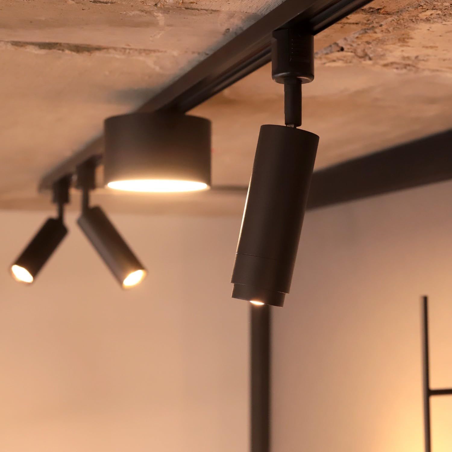 数量 RST-TZ400BK スマート照明 スマートライト 引っ掛けシーリング用 ブラック Alexa対応のミニスポットライト エジソンスマート NEXPOTALLINN_EU