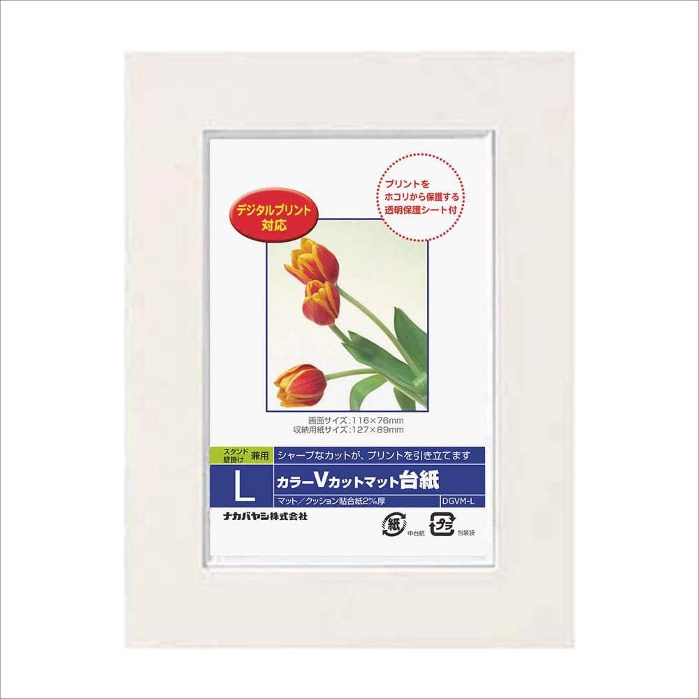 【未使用品】ナカバヤシ カラーVカットマット台紙 L ホワイト DGVM-L-W/V×10冊セット