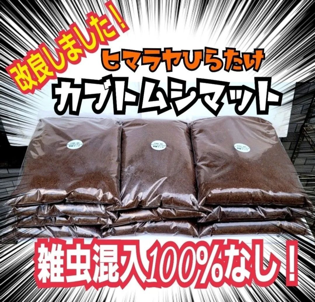 クヌギ100％原料使用