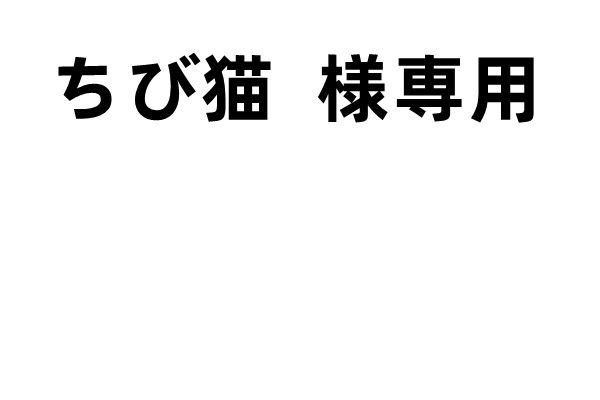 ちび猫  -TUMI 2枚