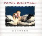【中古】 アホウドリ愛のシンフォニー 長谷川博写真集 (フォトルピナス) 長谷川博 アホウドリ愛のシンフォニー 中古 バリューコネクト (フォトルピナス) 長谷川博の通販
