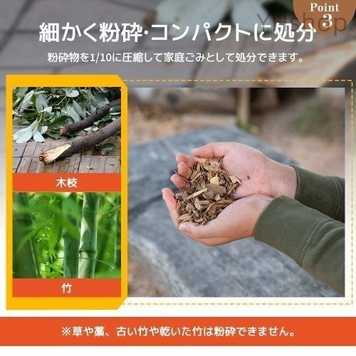 竹