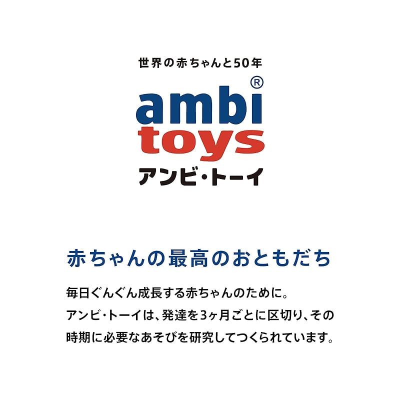 アンビトーイ