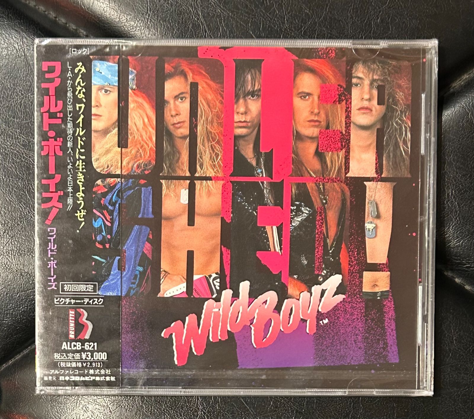 奇跡のプロモ CD!! ワイルド ボーイズ ワイルド ボーイズ Wild Boys 1992年1st 廃盤 HR HM