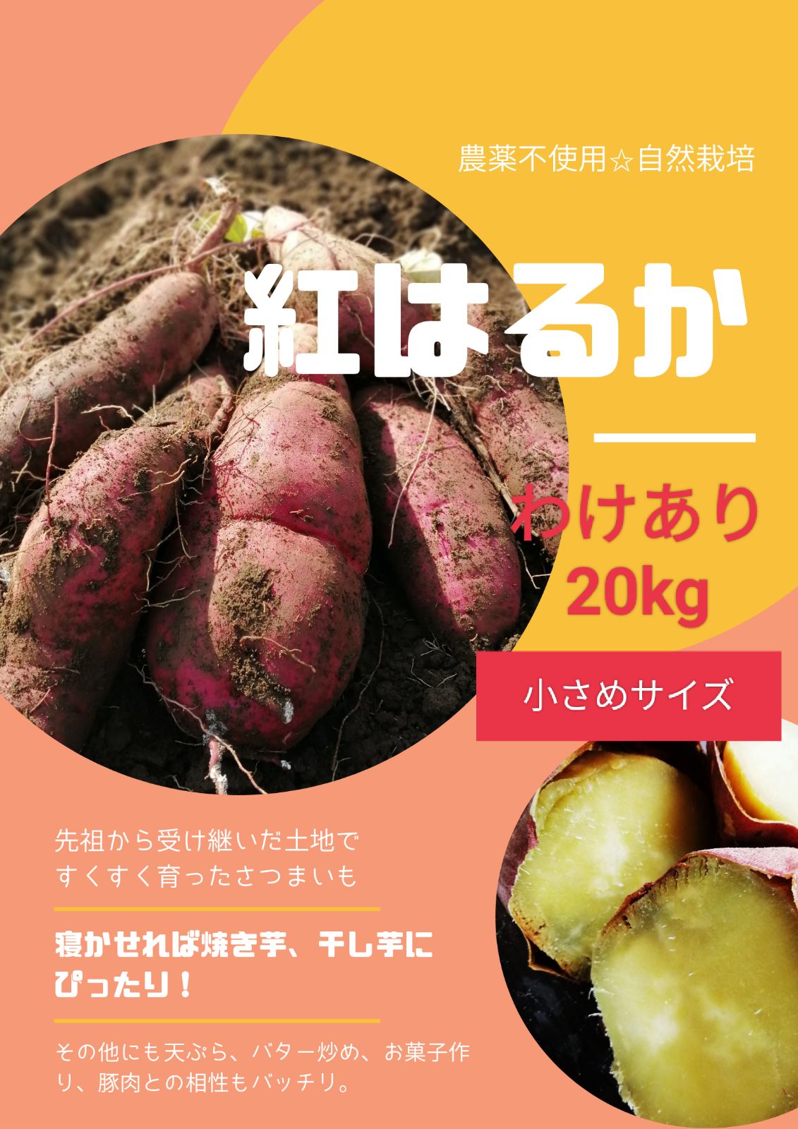 安納芋紅1キロ ２Sサイズ 完熟！ 【SALE／98%OFF】 - 野菜