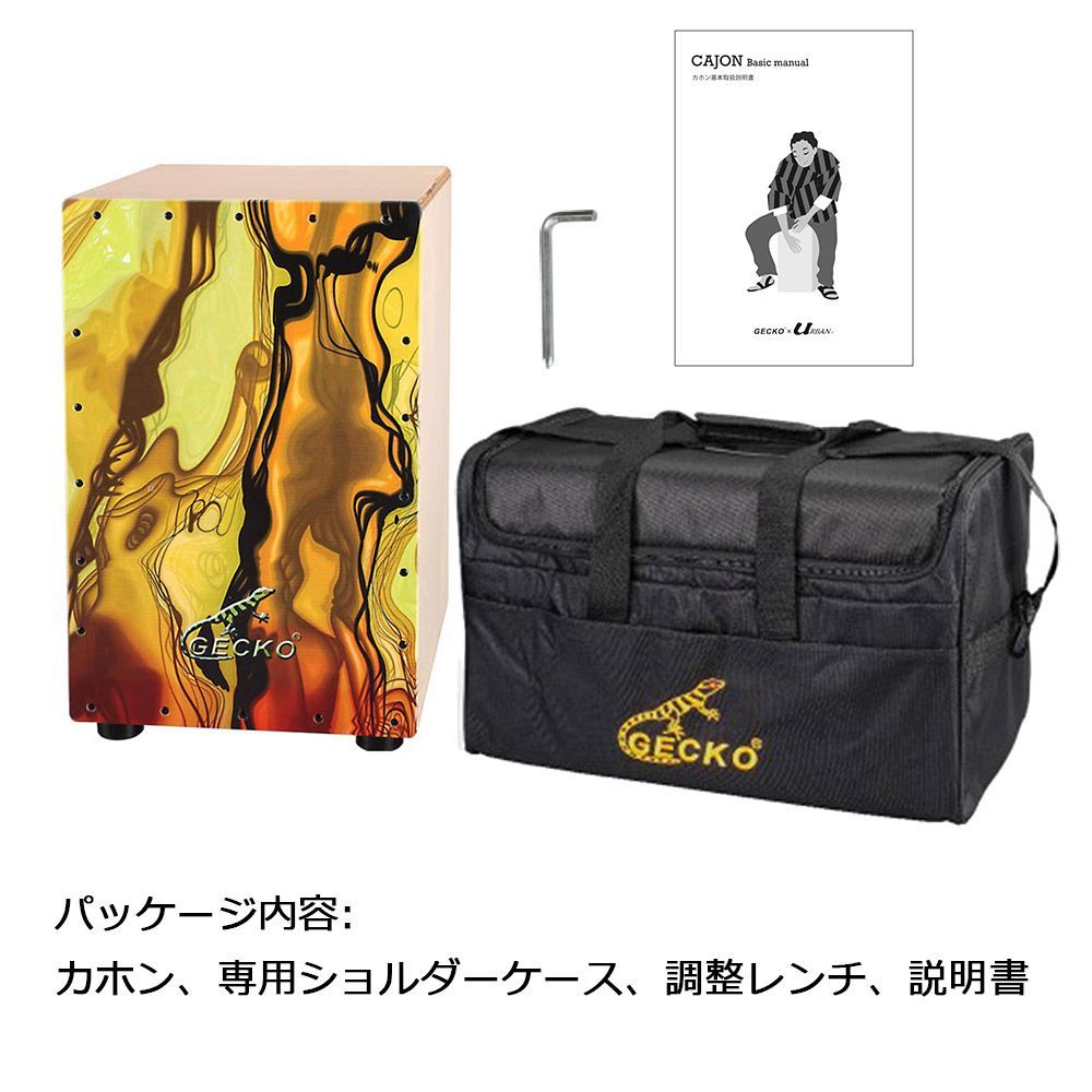 ケース付き 内部ギター弦