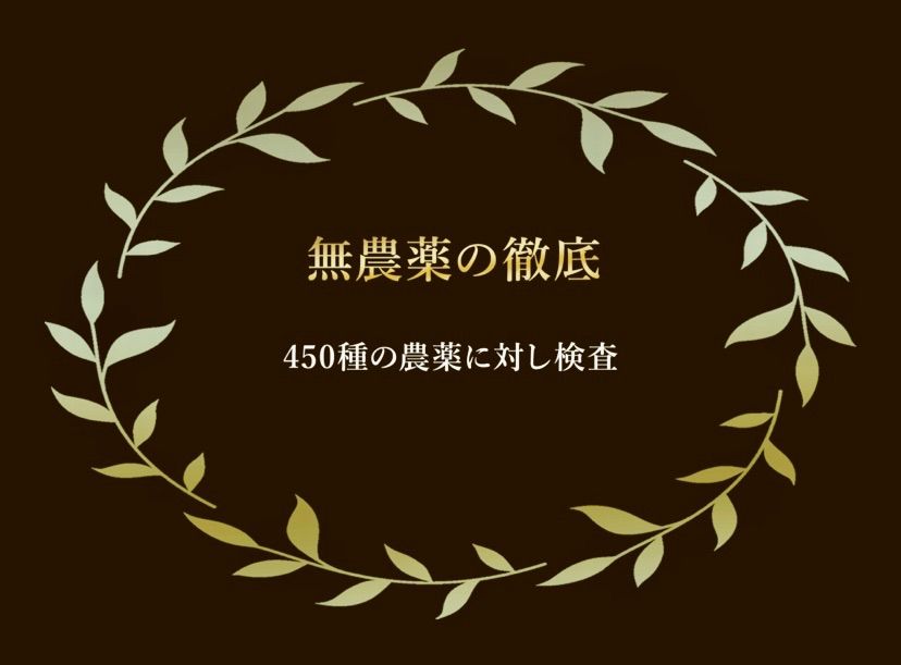 豊潤 10包入り