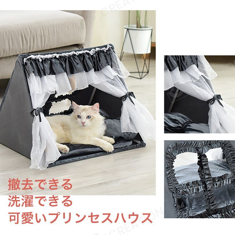 小型犬 犬