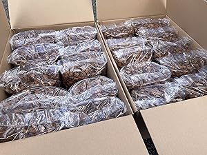Goldlife ヤシガラチップ 5L × 20袋 セット 全部で100L 床材