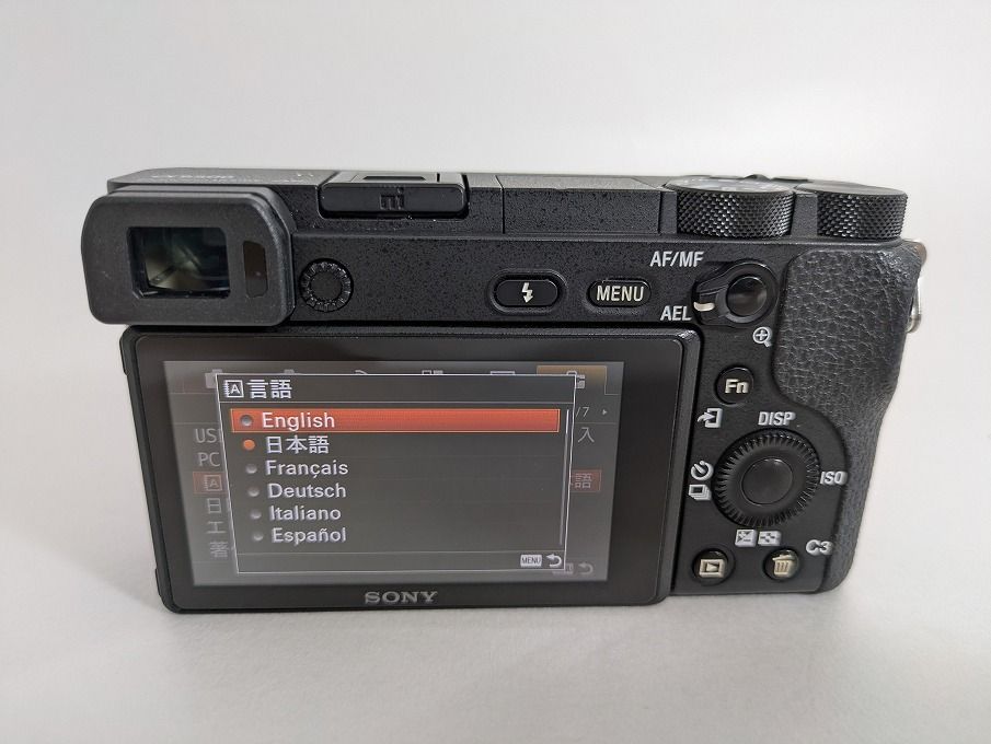 ボディ 2420万画素